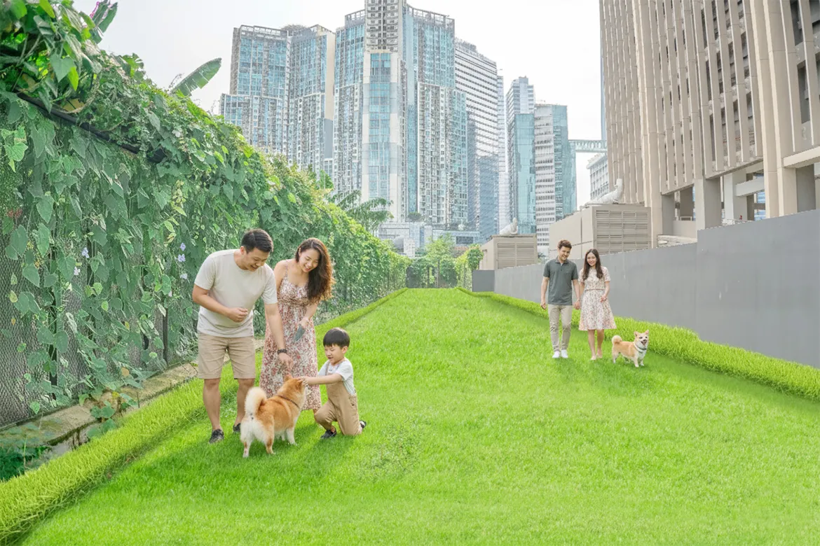 Dog Run Area